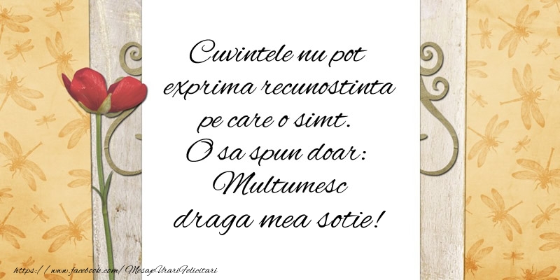 Felicitari de multumire pentru Sotie - Cuvintele nu pot exprima recunostinta pe care o simt. O sa spun doar:  Multumesc draga mea sotie!