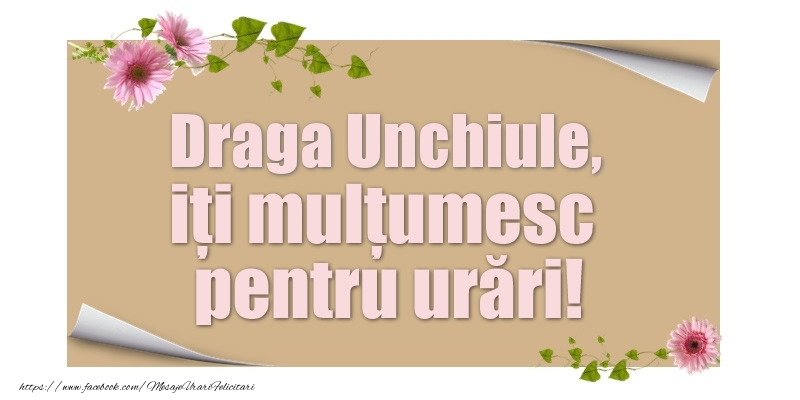 Felicitari de multumire pentru Unchi - Draga unchiule, iți mulțumesc pentru urări!