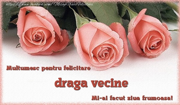 Felicitari de multumire pentru Vecin - Multumesc pentru felicitare draga vecine! Mi-ai facut ziua frumoasa!
