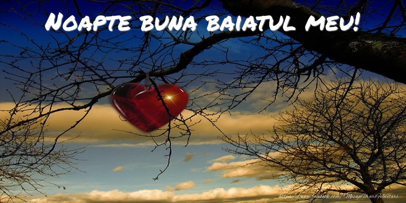 Felicitari de noapte buna pentru Baiat - Noapte buna baiatul meu!