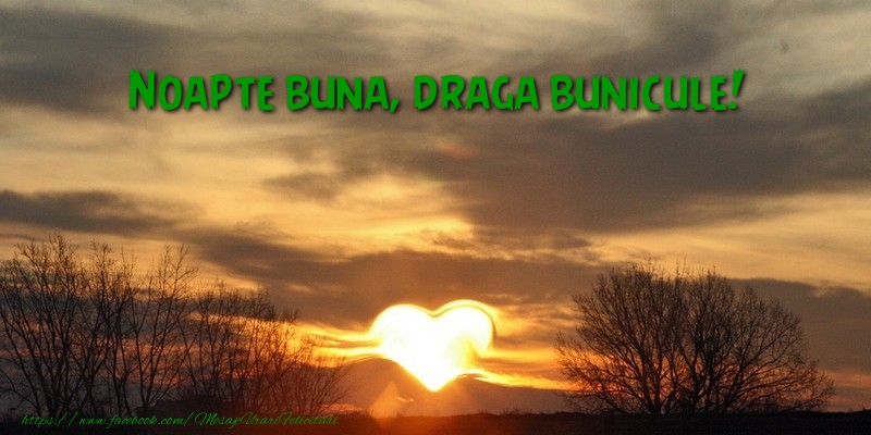 Felicitari de noapte buna pentru Bunic - Noapte buna draga bunicule