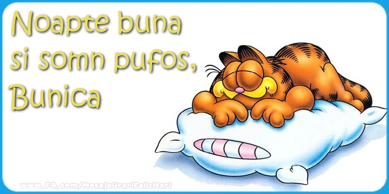 Felicitari de noapte buna pentru Bunica - Noapte buna  si somn pufos,bunica