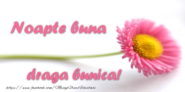 Felicitari de noapte buna pentru Bunica - Noapte buna draga bunica!