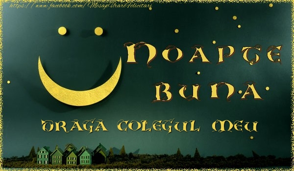 Felicitari de noapte buna pentru Coleg - Noapte buna colegul meu
