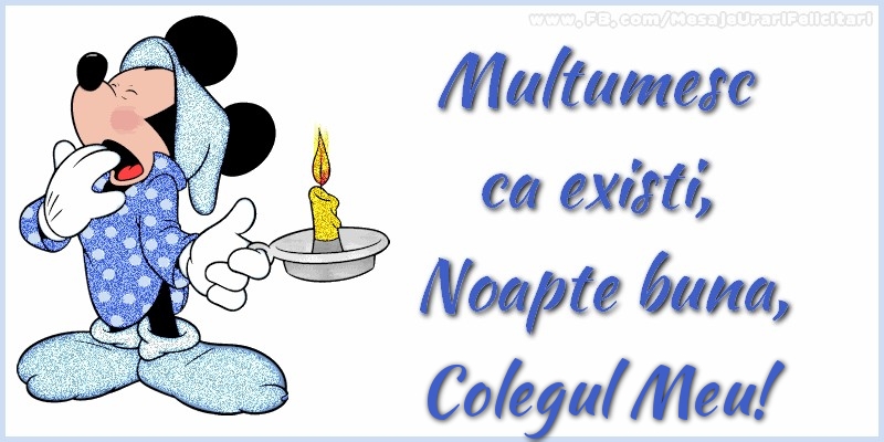 Felicitari de noapte buna pentru Coleg - Multumesc ca existi, Noapte buna, colegul meu
