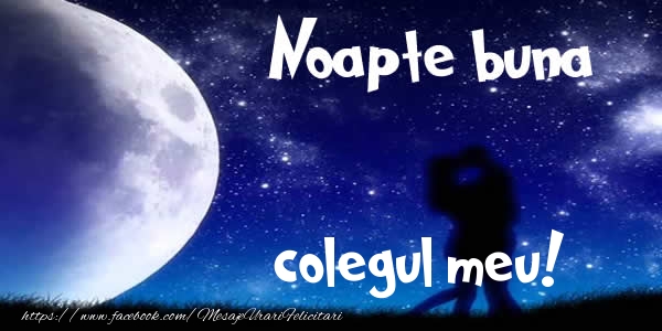Felicitari de noapte buna pentru Coleg - Noapte buna colegul meu!