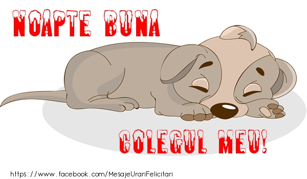 Felicitari de noapte buna pentru Coleg - Noapte buna colegul meu!