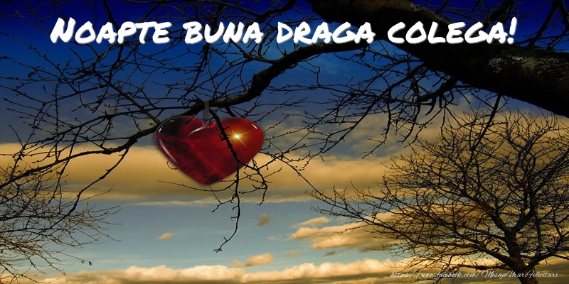 Felicitari de noapte buna pentru Colega - Noapte buna draga colega!