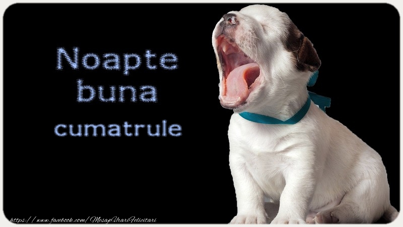 Felicitari de noapte buna pentru Cumatru - Noapte buna cumatrule