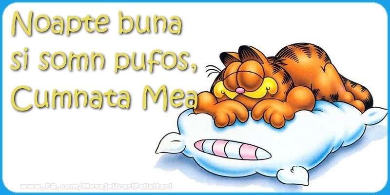 Felicitari de noapte buna pentru Cumnata - Noapte buna  si somn pufos,cumnata mea