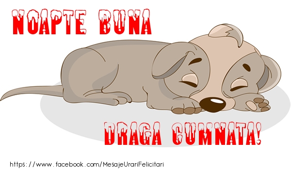 Felicitari de noapte buna pentru Cumnata - Noapte buna draga cumnata!