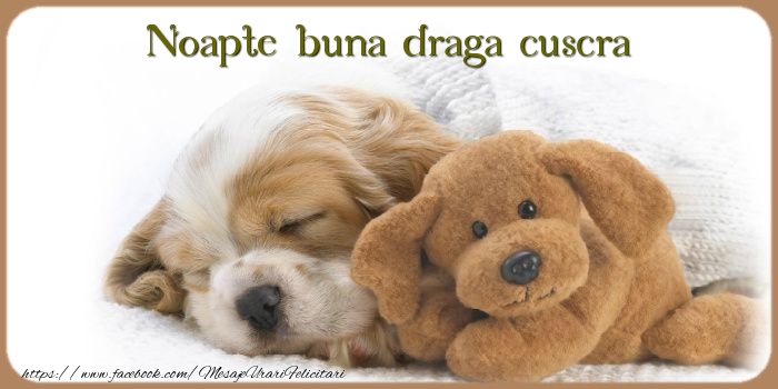 Felicitari de noapte buna pentru Cuscra - Noapte buna draga cuscra