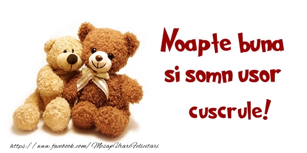 Felicitari de noapte buna pentru Cuscru - Noapte buna si Somn usor cuscrule!