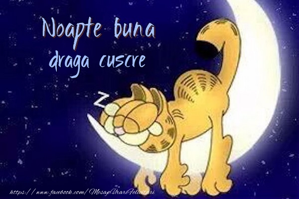 Felicitari de noapte buna pentru Cuscru - Noapte buna draga cuscre