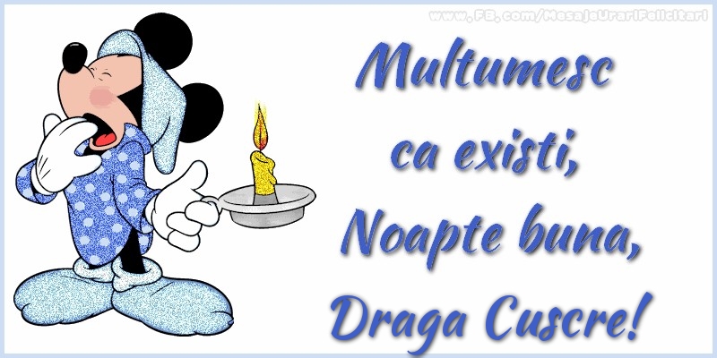 Felicitari de noapte buna pentru Cuscru - Multumesc ca existi, Noapte buna, draga cuscre