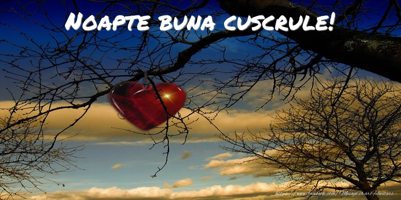 Felicitari de noapte buna pentru Cuscru - Noapte buna cuscrule!