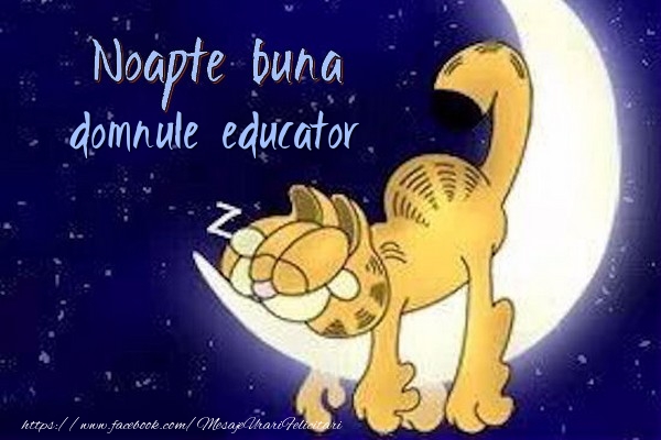 Felicitari de noapte buna pentru Educator - Noapte buna domnule educator