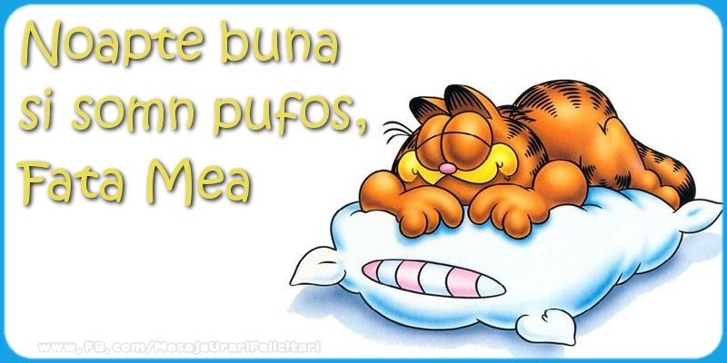 Felicitari de noapte buna pentru Fata - Noapte buna  si somn pufos,fata mea