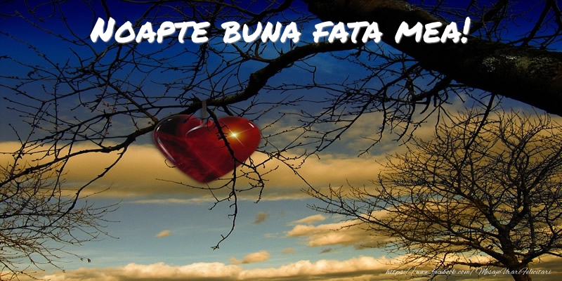 Felicitari de noapte buna pentru Fata - Noapte buna fata mea!