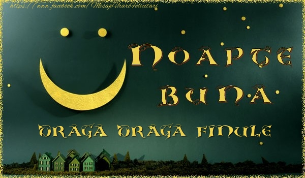 Felicitari de noapte buna pentru Fin - Noapte buna draga finule