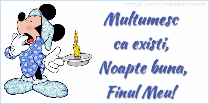 Felicitari de noapte buna pentru Fin - Multumesc ca existi, Noapte buna, finul meu