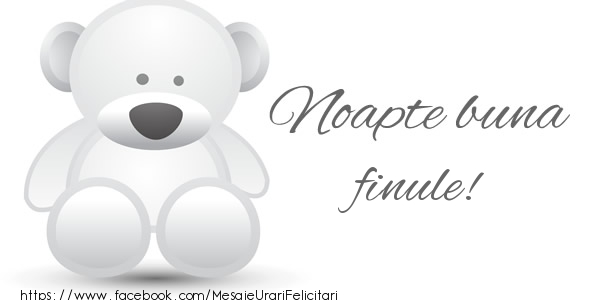 Felicitari de noapte buna pentru Fin - Noapte buna finule!