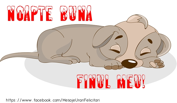 Felicitari de noapte buna pentru Fin - Noapte buna finul meu!