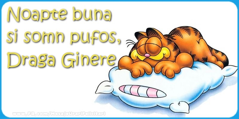 Felicitari de noapte buna pentru Ginere - Noapte buna  si somn pufos,draga ginere