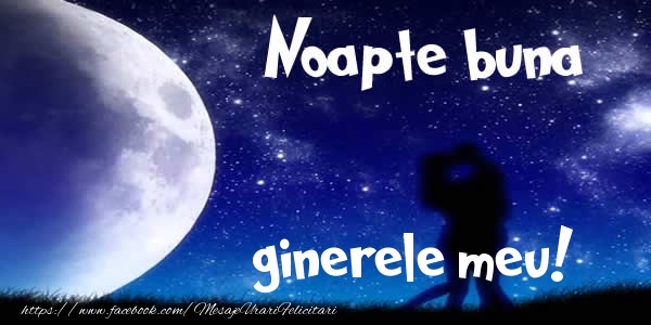 Felicitari de noapte buna pentru Ginere - Noapte buna ginerele meu!