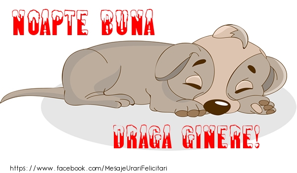Felicitari de noapte buna pentru Ginere - Noapte buna draga ginere!