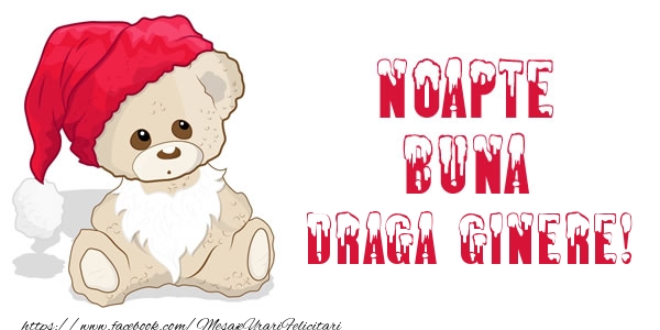 Felicitari de noapte buna pentru Ginere - Noapte buna draga ginere!