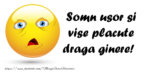 Felicitari de noapte buna pentru Ginere - Somn usor si vise placute draga ginere!