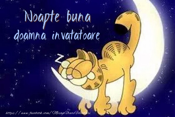 Felicitari de noapte buna pentru Invatatoare - Noapte buna doamna invatatoare