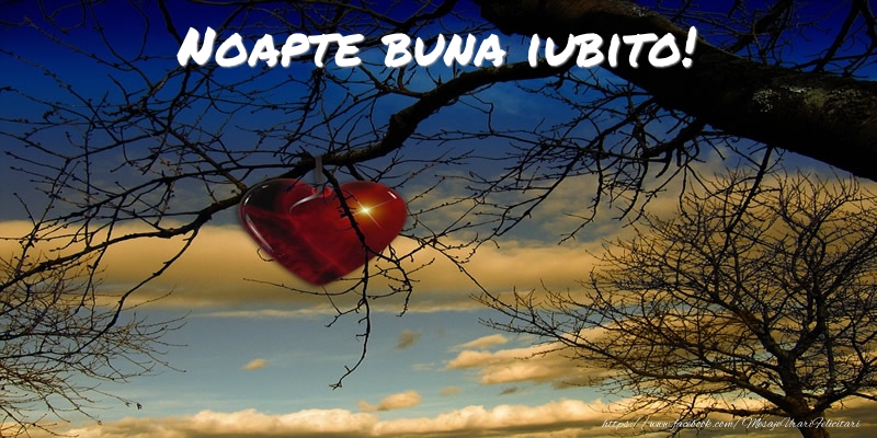 Felicitari de noapte buna pentru Iubita - Noapte buna iubito!