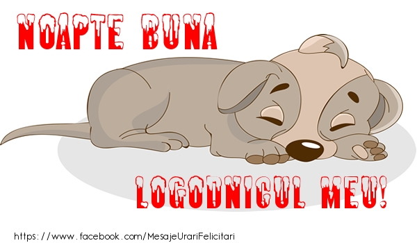 Felicitari de noapte buna pentru Logodnic - Noapte buna logodnicul meu!