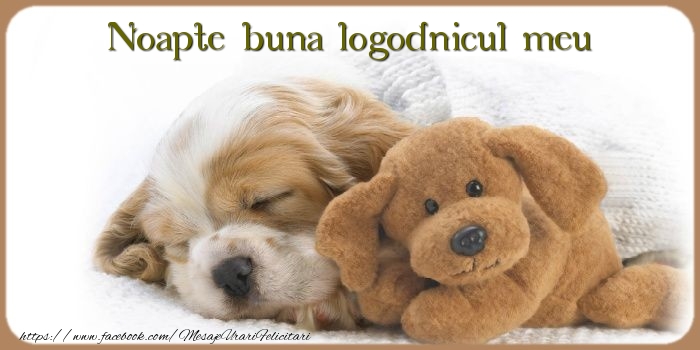 Felicitari de noapte buna pentru Logodnic - Noapte buna logodnicul meu