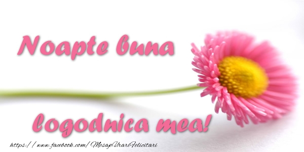 Felicitari de noapte buna pentru Logodnica - Noapte buna logodnica mea!