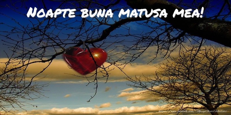 Felicitari de noapte buna pentru Matusa - Noapte buna matusa mea!