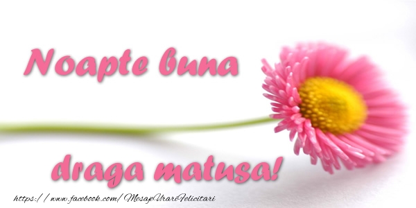 Felicitari de noapte buna pentru Matusa - Noapte buna draga matusa!