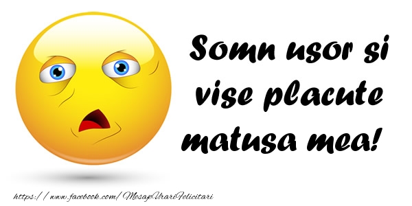 Felicitari de noapte buna pentru Matusa - Somn usor si vise placute matusa mea!