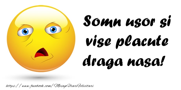 Felicitari de noapte buna pentru Nasa - Somn usor si vise placute draga nasa!