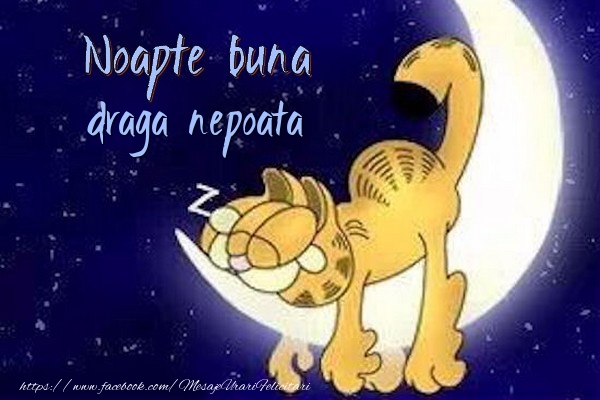 Felicitari de noapte buna pentru Nepoata - Noapte buna draga nepoata