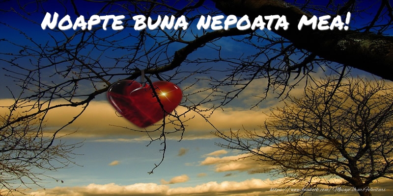 Felicitari de noapte buna pentru Nepoata - Noapte buna nepoata mea!