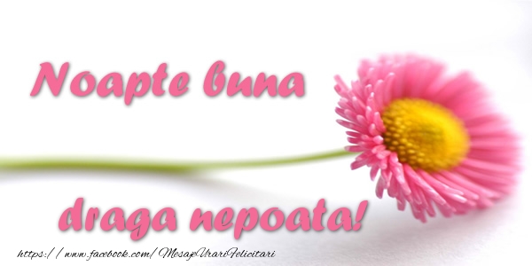 Felicitari de noapte buna pentru Nepoata - Noapte buna draga nepoata!
