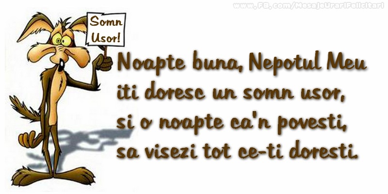 Felicitari de noapte buna pentru Nepot - Noapte buna, nepotul meu. Iti doresc un somn usor,  si o noapte ca-n povesti,  sa visezi tot ce-ti doresti.