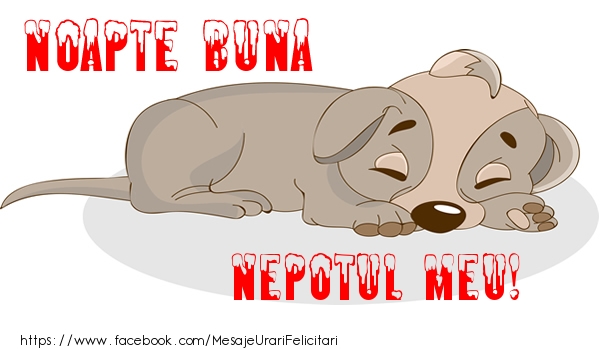 Felicitari de noapte buna pentru Nepot - Noapte buna nepotul meu!