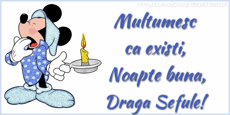Felicitari de noapte buna pentru Sef - Multumesc ca existi, Noapte buna, draga sefule