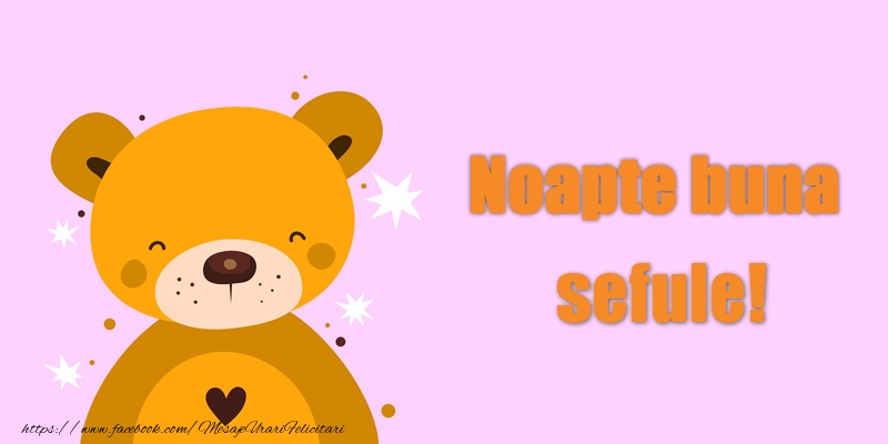 Felicitari de noapte buna pentru Sef - Noapte buna sefule!