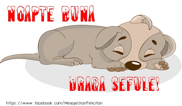 Felicitari de noapte buna pentru Sef - Noapte buna draga sefule!