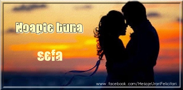 Felicitari de noapte buna pentru Sefa - Noapte buna sefa